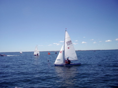 IMGP1100.JPG