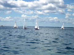 IMGP1092.JPG